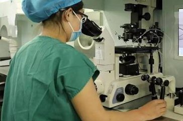 生理条件才是成功的关键，2026泰国试管婴儿成功率参考