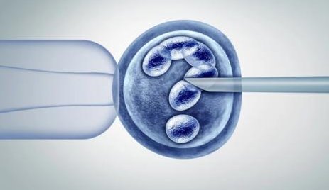 2026中山六院生殖科门诊上班时间调整通知，千万别跑空！