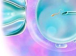 2026广州生殖医院排名？哪家医院试管成功率最高？