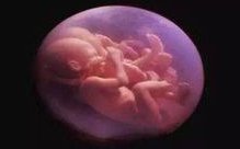 2026在石狮市做基因检测多少钱？基因筛查可以规避哪些遗传病？