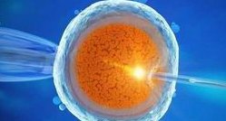 死精率80%的男性可以在商洛市做三代试管吗？公开2026做三代试管条件