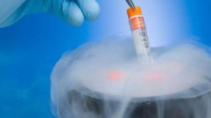 美国三代试管流程是什么？试管费用是多少？