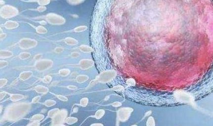 三明市中西医结合医院做三代试管婴儿成功率高不高？什么因素可以影响到试管成功率